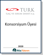 Finansal büyüme ve piyasa analizi ikonu – Ata Yatırım