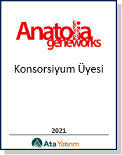 Finansal piyasa analizi ikonu – Ata Yatırım