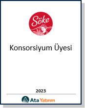 Finansal danışmanlık görseli – Ata Yatırım