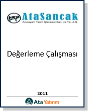 Ata Yatırım piyasa analizi ve portföy görseli