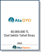 Finansal danışmanlık ve yatırım fırsatları ikonu – Ata Yatırım