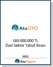 Finansal danışmanlık hizmeti ikonu – Ata Yatırım