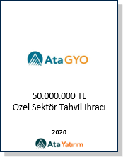 Finansal strateji ve danışmanlık simgesi – Ata Yatırım