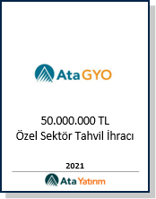 Finansal analiz ve danışmanlık görseli – Ata Yatırım