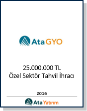 Finansal danışmanlık ikonu – Ata Yatırım